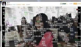 蛇哥爆料打官司视频全集,揭秘背后真相与争议