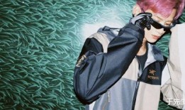 刘大锤最新爆料宋轶视频,神秘片段引网友热议